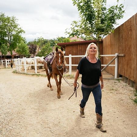Ranchzimmer Am Hippo-Campus Reit- Und Therapiezentrum Deutsch Haslau 외부 사진