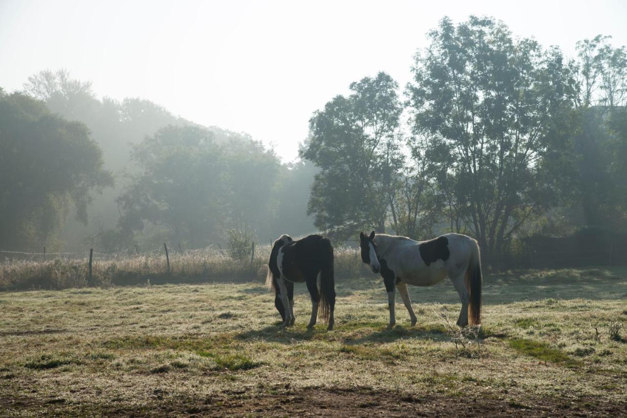 Ranchzimmer Am Hippo-Campus Reit- Und Therapiezentrum Deutsch Haslau 외부 사진